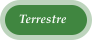 Terrestre