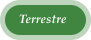 Terrestre