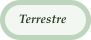 Terrestre