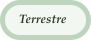Terrestre