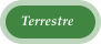 Terrestre