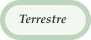 Terrestre