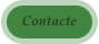 Contacte