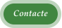 Contacte