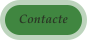 Contacte