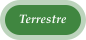 Terrestre