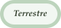 Terrestre